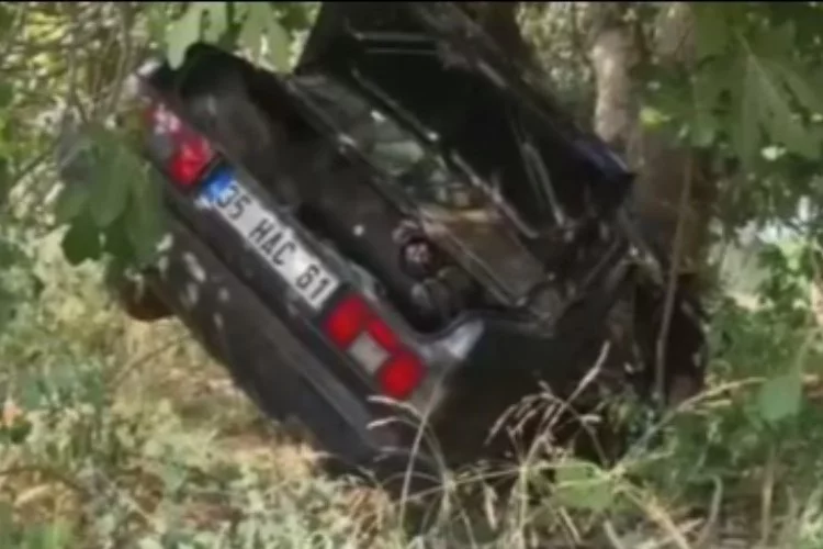 Hayvan Pazarından dönerken şarampole uçtular 2 kişi hayatını kaybederken bagajdaki keçiler sağ kurtuldu