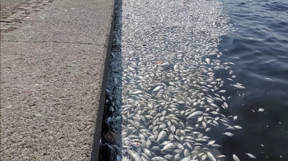 İzmir Büyükşehir Belediyesine 1,8 milyon TL para cezası kesildi