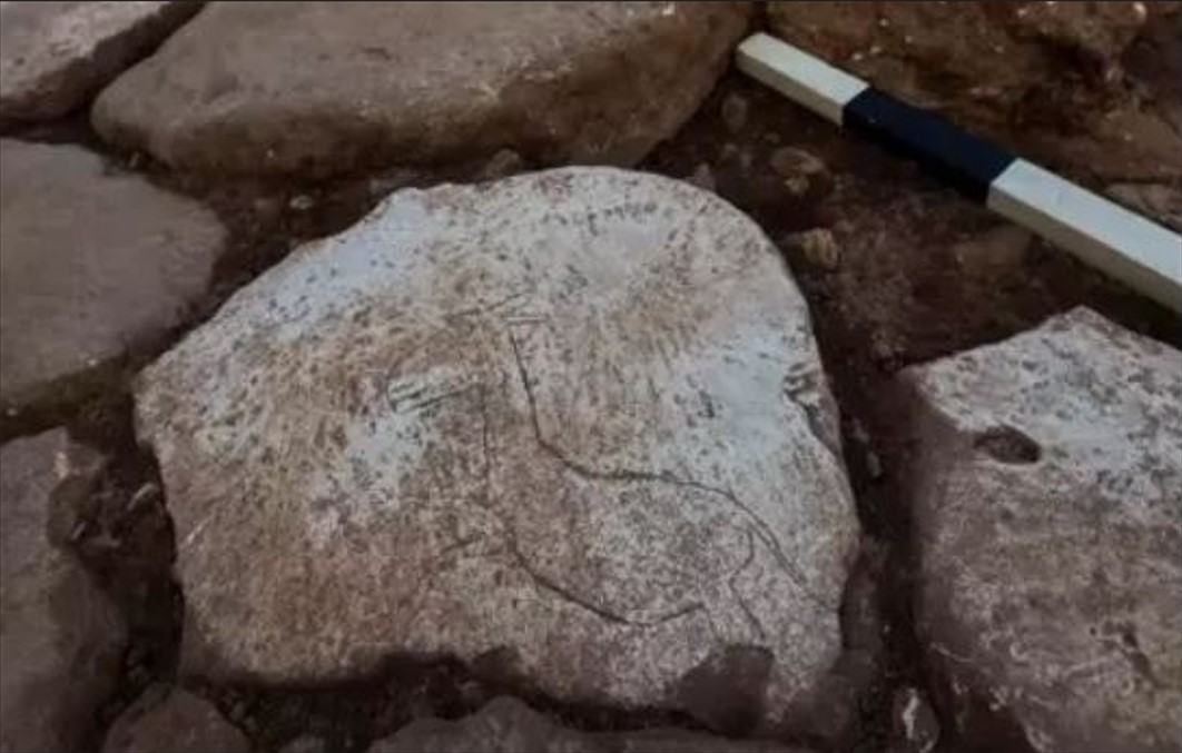 Şanlıurfa Karahantepe Neolitik Çağ yerleşim alanında, arkeologlar yaban eşeği figürü keşfetti.