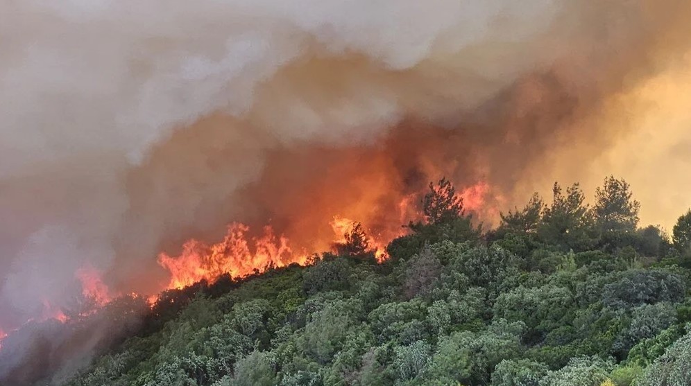 İzmir’in Bayraklı ilçesinde Alevlere teslim olan pek çok ormanlık alan orman sınırları dışına çıkartıldı.